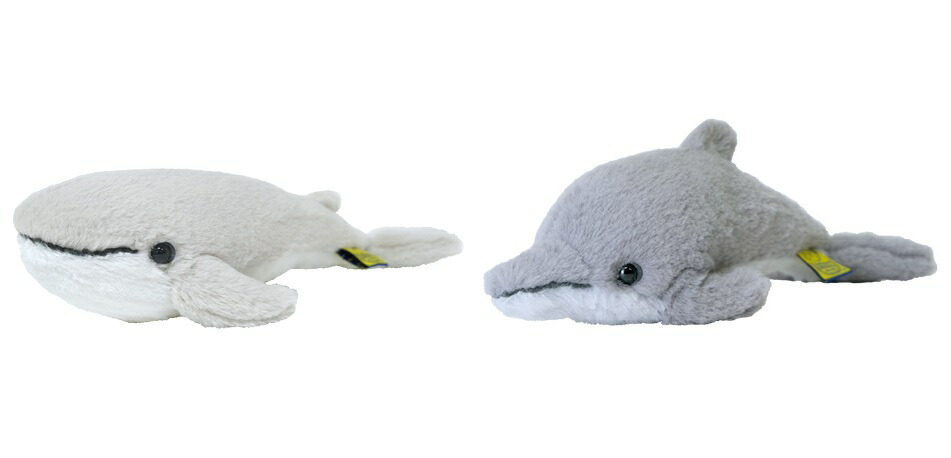 楽天市場】ぬいぐるみ クジラ イルカ Sサイズ fluffies フラッフィーズ