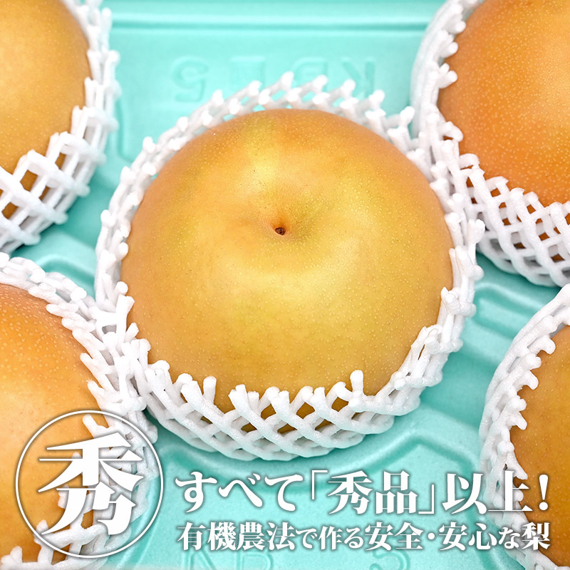 楽天市場】梨 秀品［5kg箱(4.5kg以上) または 3kg箱(2.8kg以上)］ 送料