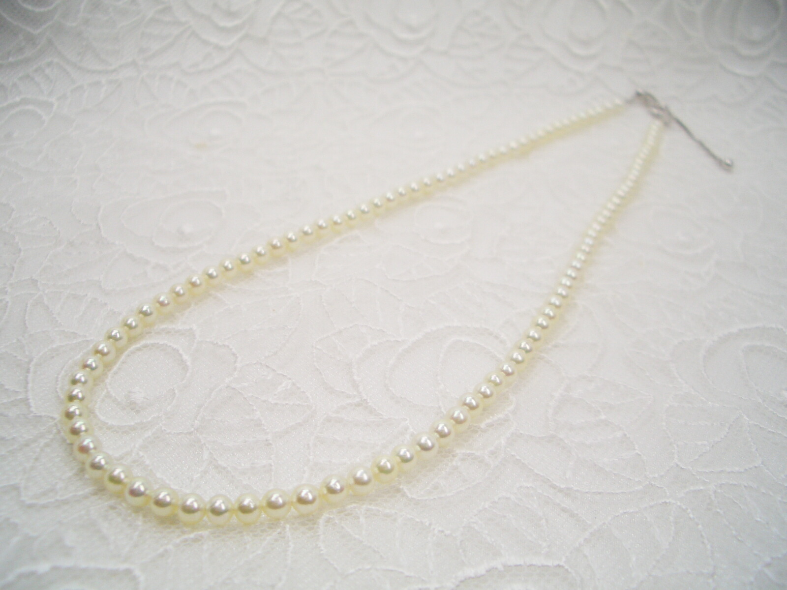 楽天市場】【全品ギフト包装】≪ 伊勢志摩産 ≫ 無調色！アコヤベビー