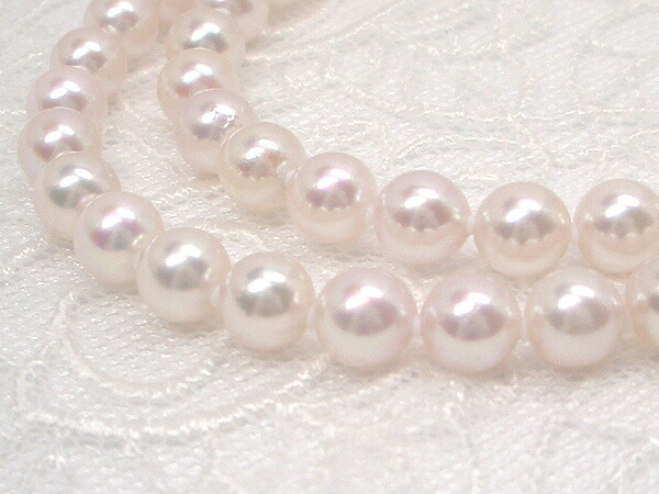 楽天市場】【全品ギフト包装】≪ パックマンタイプ、80cm ≫ アコヤ