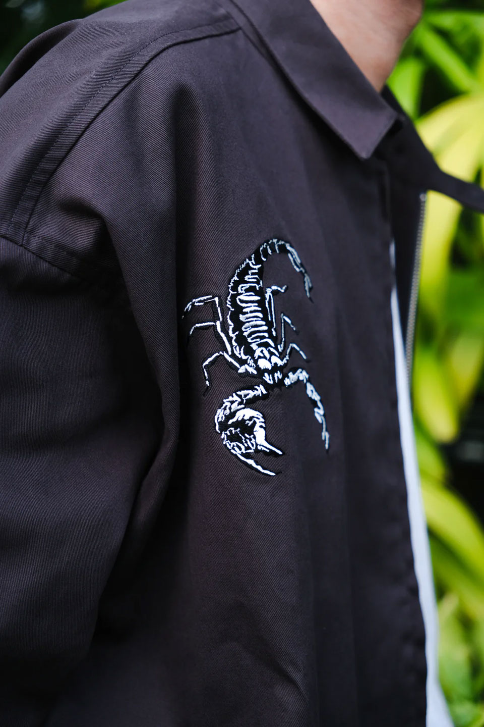 楽天市場】TENBOX 10匣 テンボックス スイングトップ Scorpion