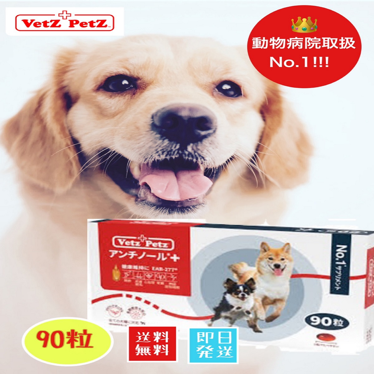 楽天市場】【最安値挑戦中！】アンチノールプラス 犬 犬用 90粒 90 犬