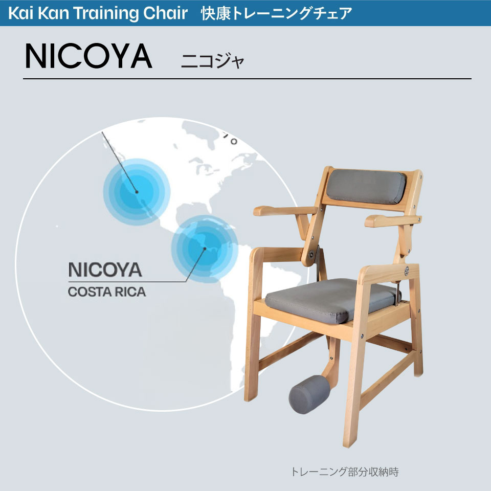 楽天市場】【送料無料】KaiKan 快康トレーニングチェア NICOYA 二