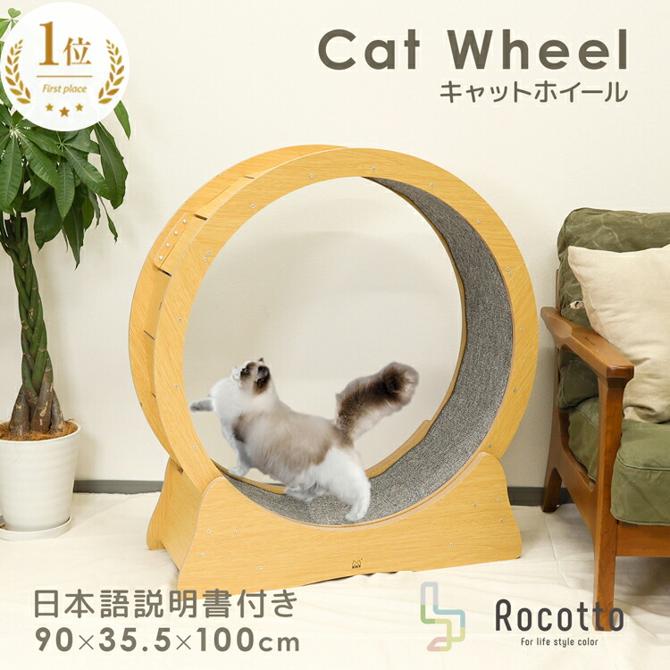 catwheel001r.jpg