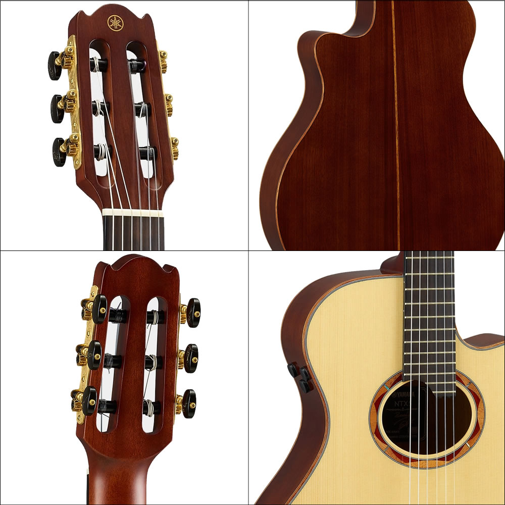 楽天市場】YAMAHA ヤマハ NTX5 エレガット 初心者セット すぐに始め