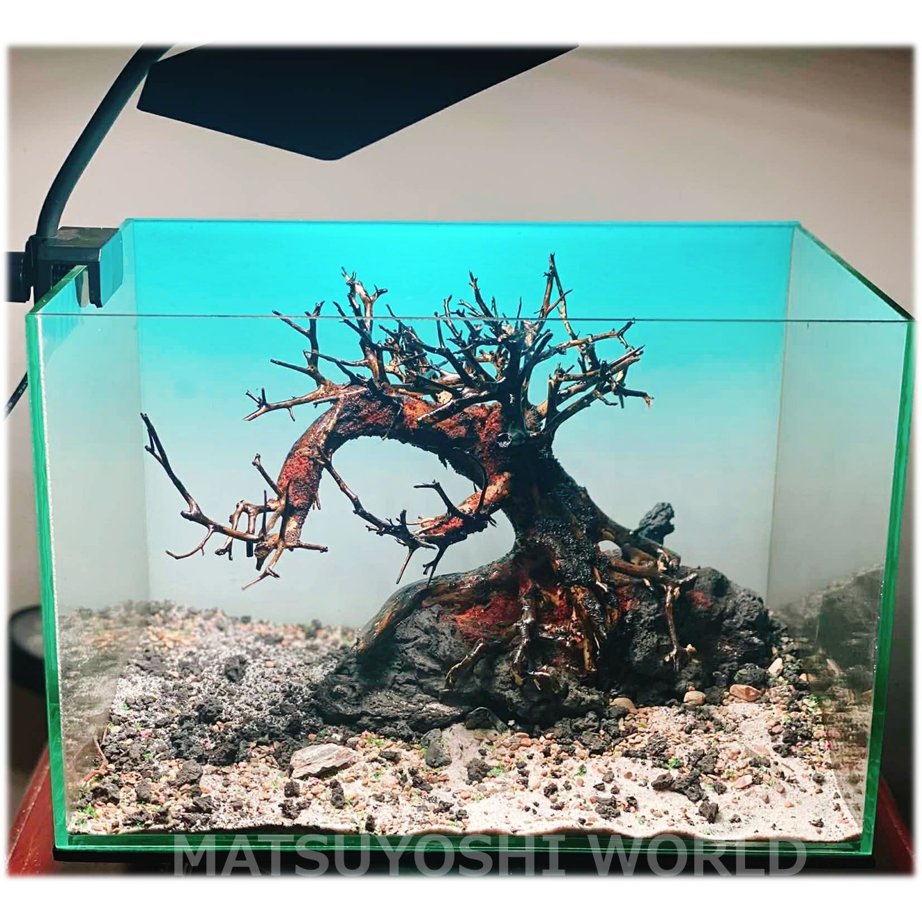 楽天市場】【お買い得・送料無料】小型溶岩石付き盆栽流木（水槽専用