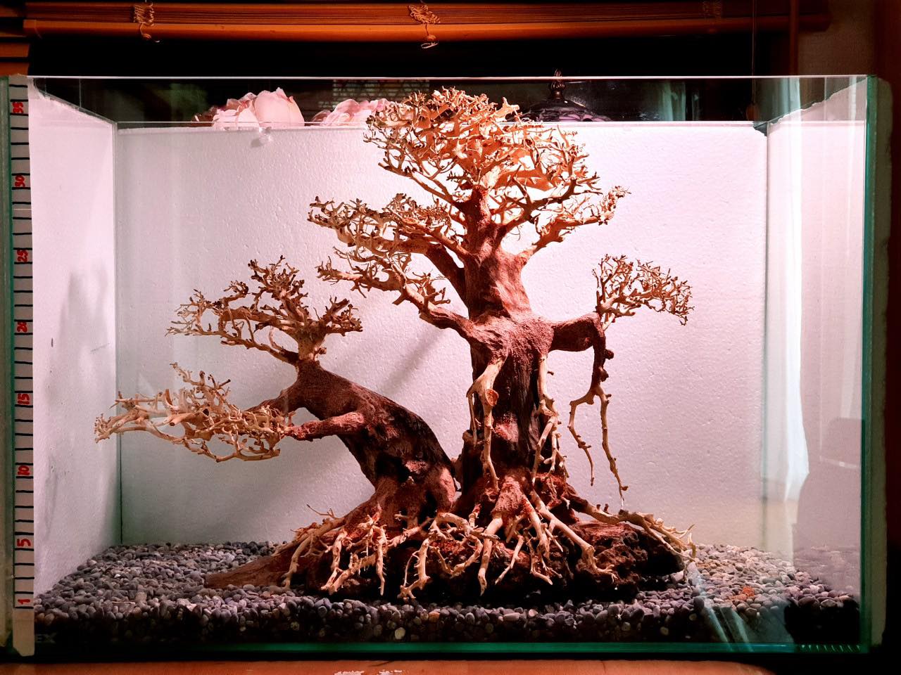 MDW-6921 特大ブランチウッド 流木 枝流木 アクアリウム MDW-6921 特大