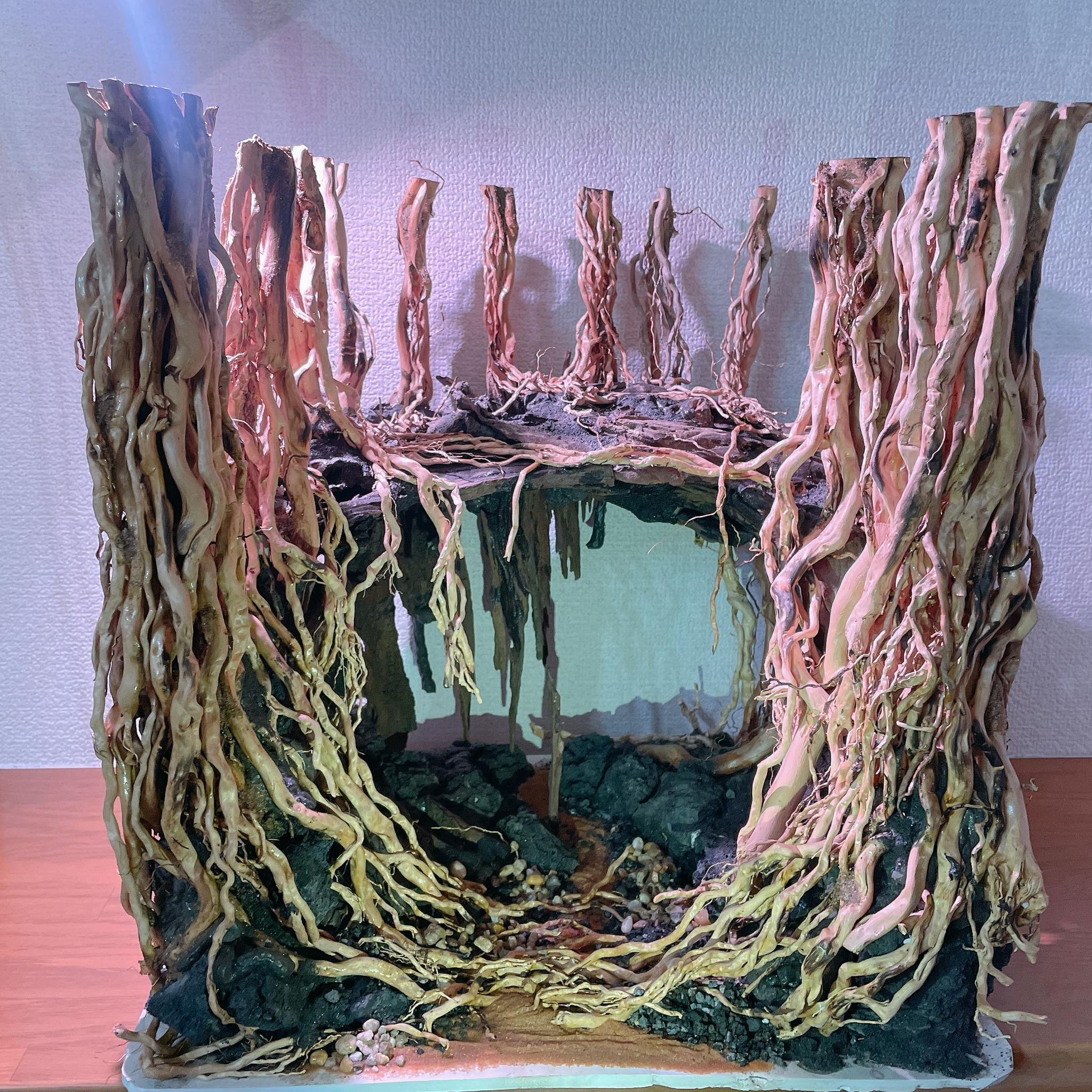 楽天市場】中型空洞型熱帯雨林のバニヤン流木 (水槽専用アート