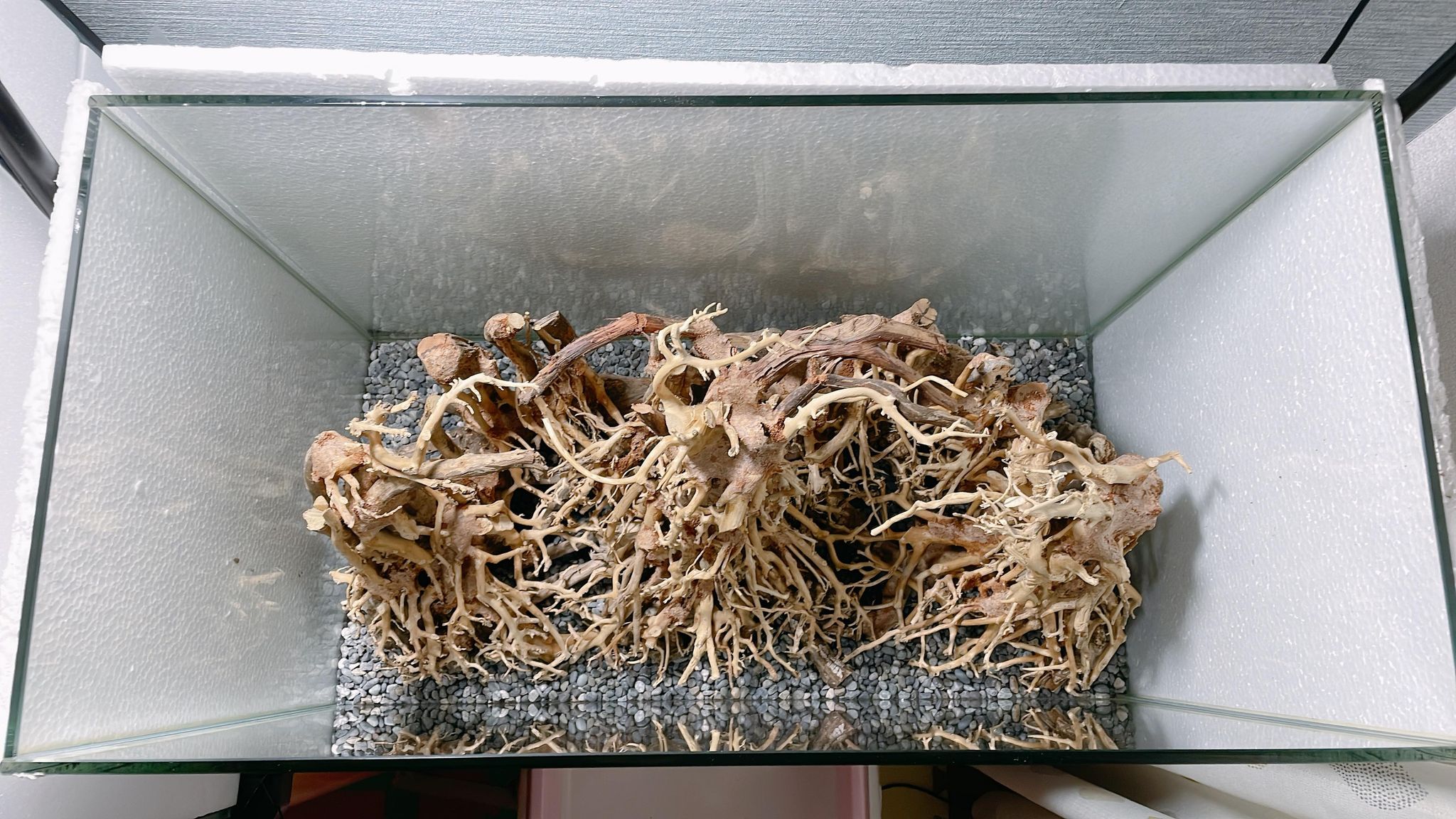 楽天市場】中型深い茂る熱帯雨林（水槽専用アート流木）盆栽アート