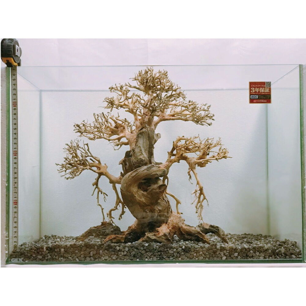 楽天市場】盆栽流木 直幹（水槽専用アート流木）盆栽アート 盆栽