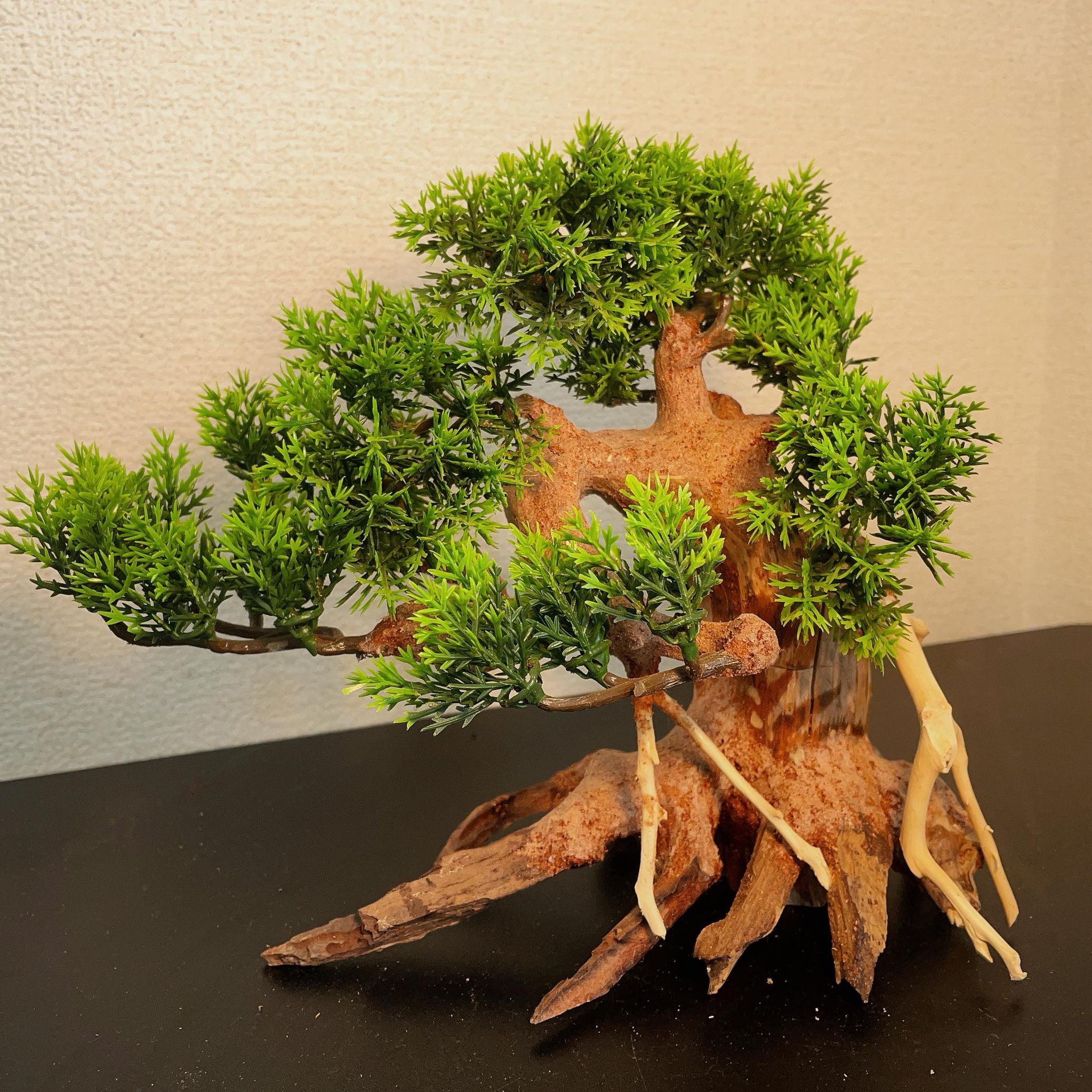 楽天市場】【お買い得・送料無料】小型溶岩石・樹脂水草付き盆栽流木