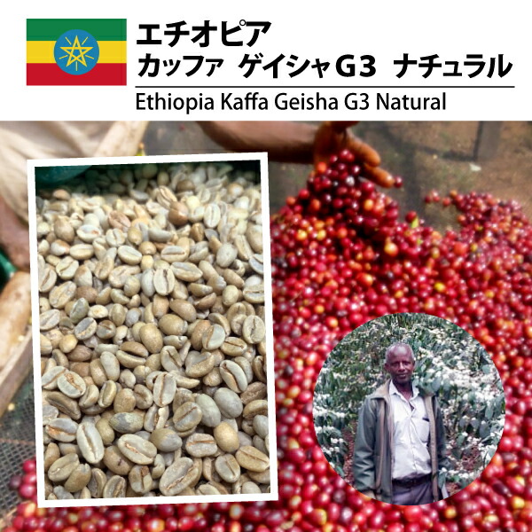 楽天市場】【送料無料(一部地域を除く）】コーヒー 生豆 珈琲 豆 未焙