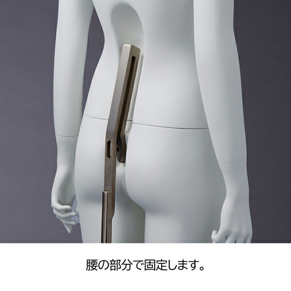 楽天市場】全身腰受けリアルマネキン婦人 61-810-49-1 : 厨房卸問屋 名調