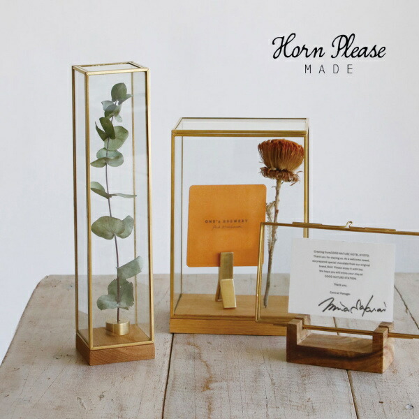 楽天市場】ブラスフレーム ガラスケース ディスプレイボックス ワイド