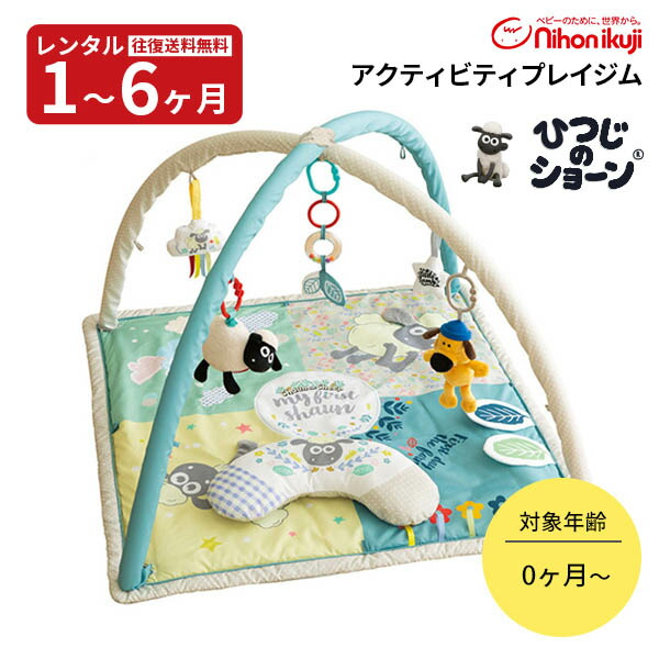 楽天市場】アクティビティプレイジムの通販