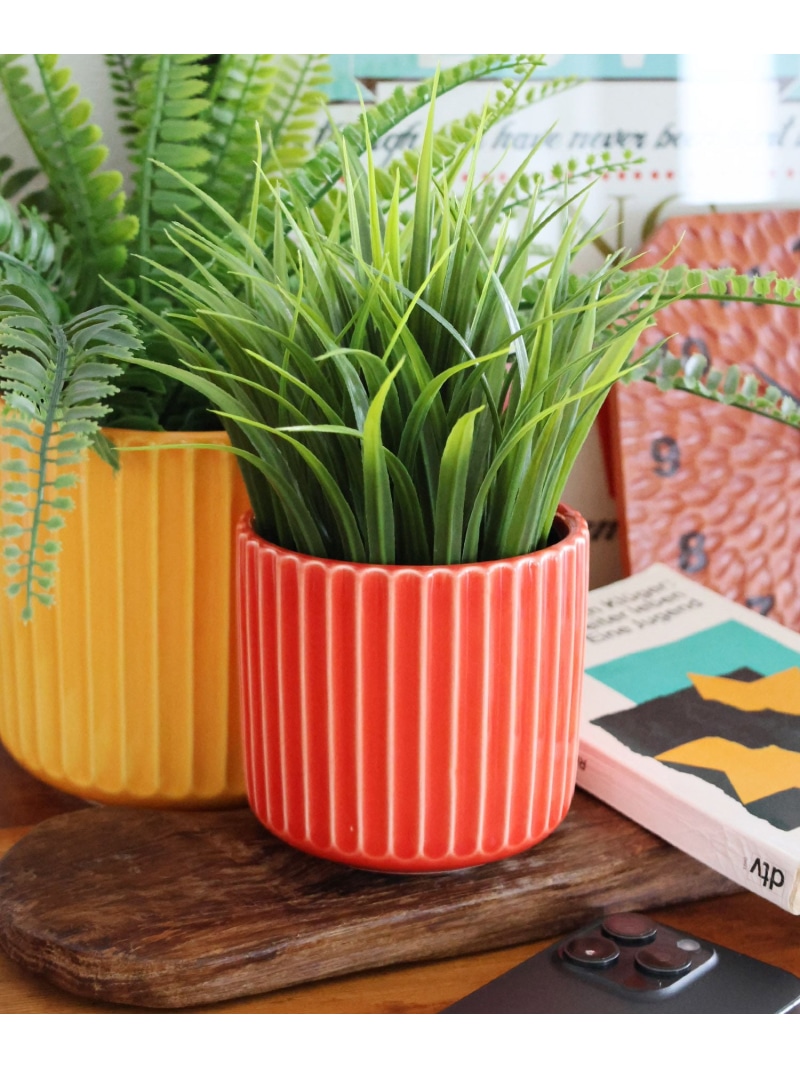 楽天市場】【OLD SMITH GREENERY】カラーポットSサイズ niko and