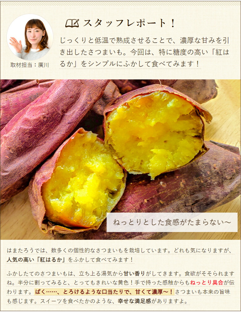 楽天市場】新潟県産さつまいも ハロウィンスウィート 2kg はまたろう