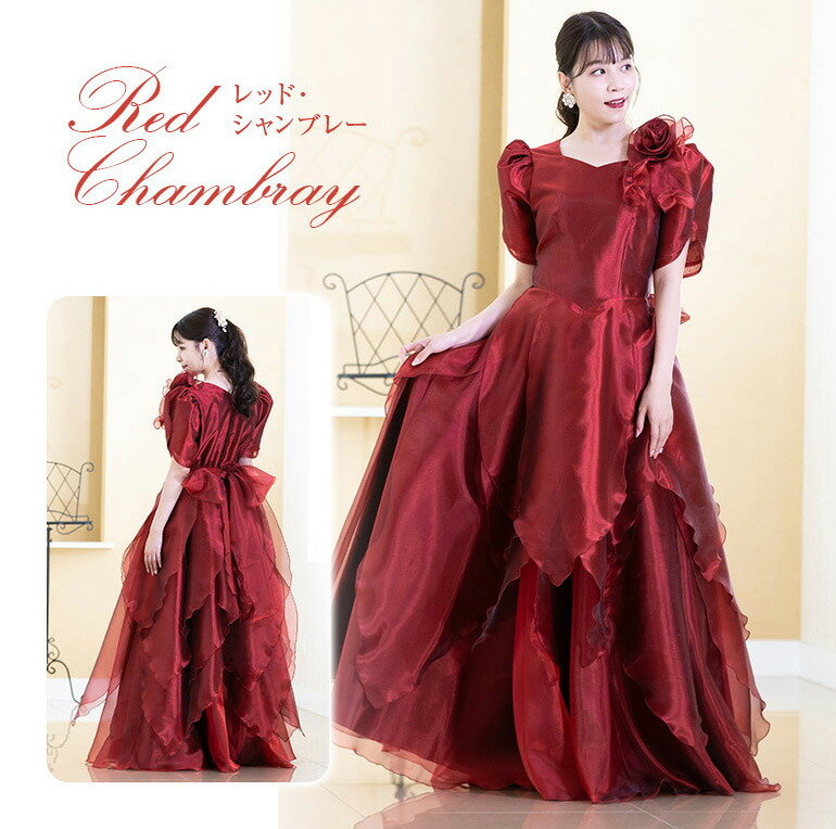 オーガンジー ロングドレス 演奏会 パーティードレス | 通販・人気