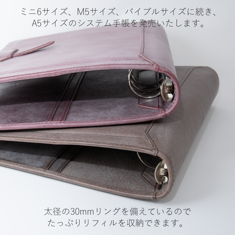 楽天市場】Davinci×NAGASAWA システム手帳 ロロマ クライム A5 30mm