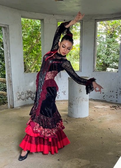 楽天市場】新ブランドnajanaja フラメンコ衣装 ワンピース 情熱 黒と赤