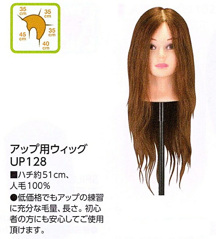 楽天市場】アップ 練習用 ウィッグ レジーナの通販