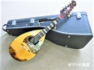 楽天市場】カラーチェマンドリンNo.15オールド RAFFAELE CALACE