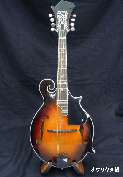 楽天市場】フラットマンドリン Fタイプ【新品アウトレット】 : おかげ