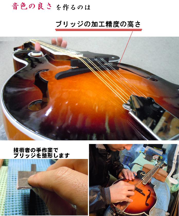 楽天市場】フラットマンドリン Fタイプ【新品アウトレット】 : おかげ