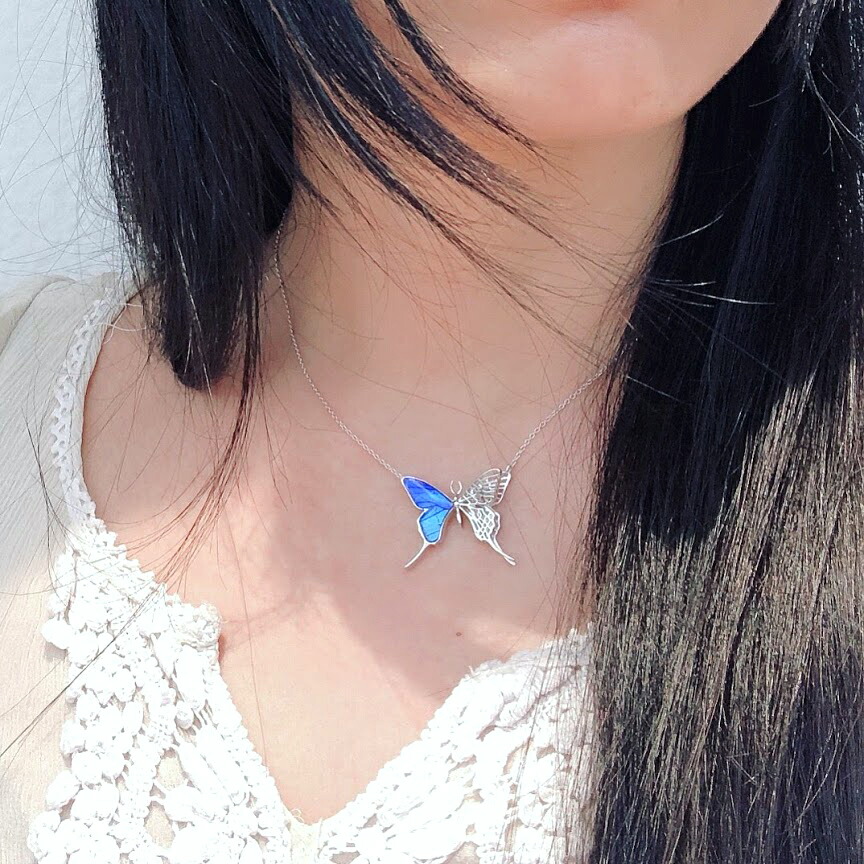 楽天市場】【スーパーセール◇10%OFF】[ゼフィリティスモルフォ] 本物