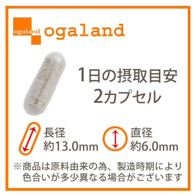 楽天市場】【期間限定SALE】ヘルスイッチ（約6ヶ月分） ダイエット