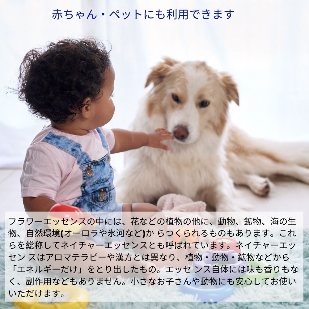 楽天市場】ベネディクションフォルテ FESフラワーエッセンス