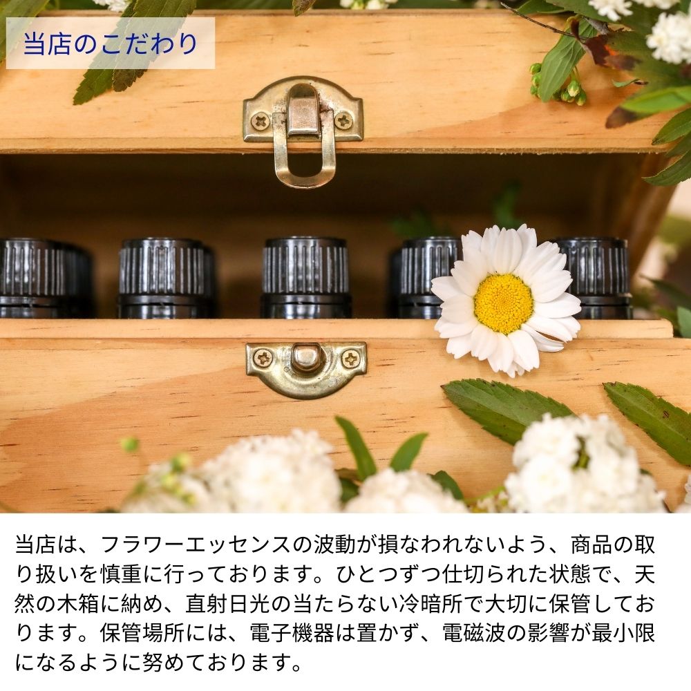 楽天市場】インティマシーブレンド パワーオブフラワーヒーリング