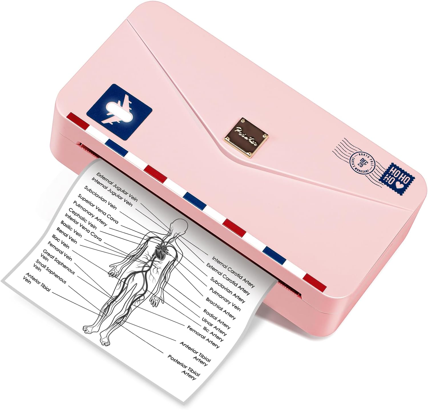 楽天市場】[レビュー特典] Phomemo M04AS ピンク 15 25 53 80 110mm