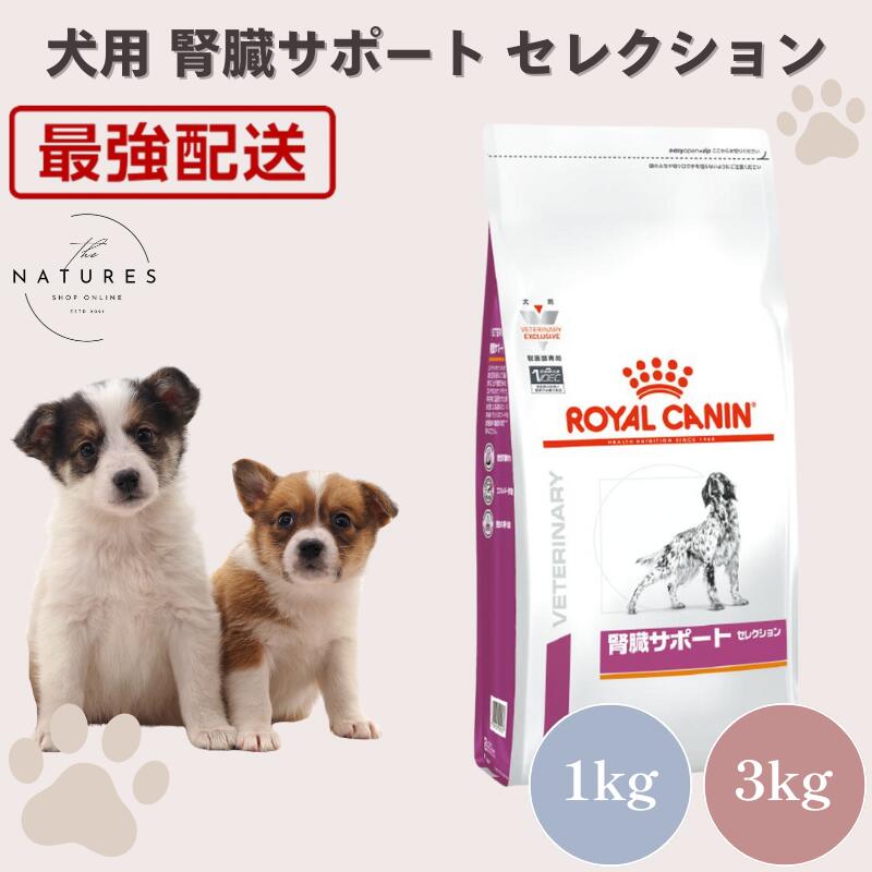 楽天市場】ロイヤルカナン3㎏ 腎臓サポート犬用の通販