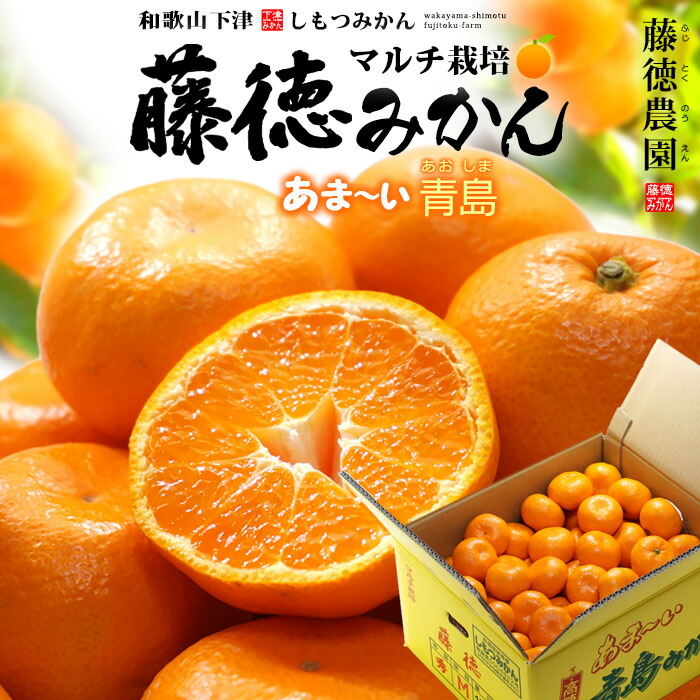 楽天市場】青島みかん マルチ栽培 藤徳みかん S-L (約10kg) 和歌山県