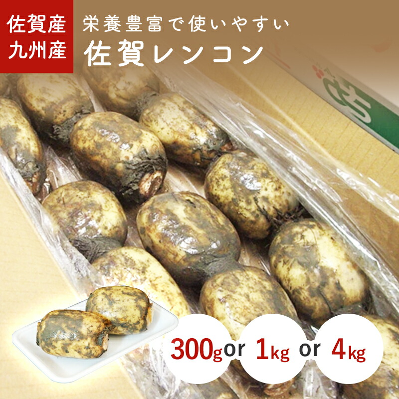 楽天市場】佐賀れんこん（蓮根・レンコン） 300g 1kg 1箱(4kg) 佐賀産