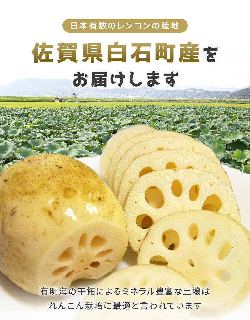 楽天市場】佐賀れんこん（蓮根・レンコン） 300g 1kg 1箱(4kg) 佐賀産