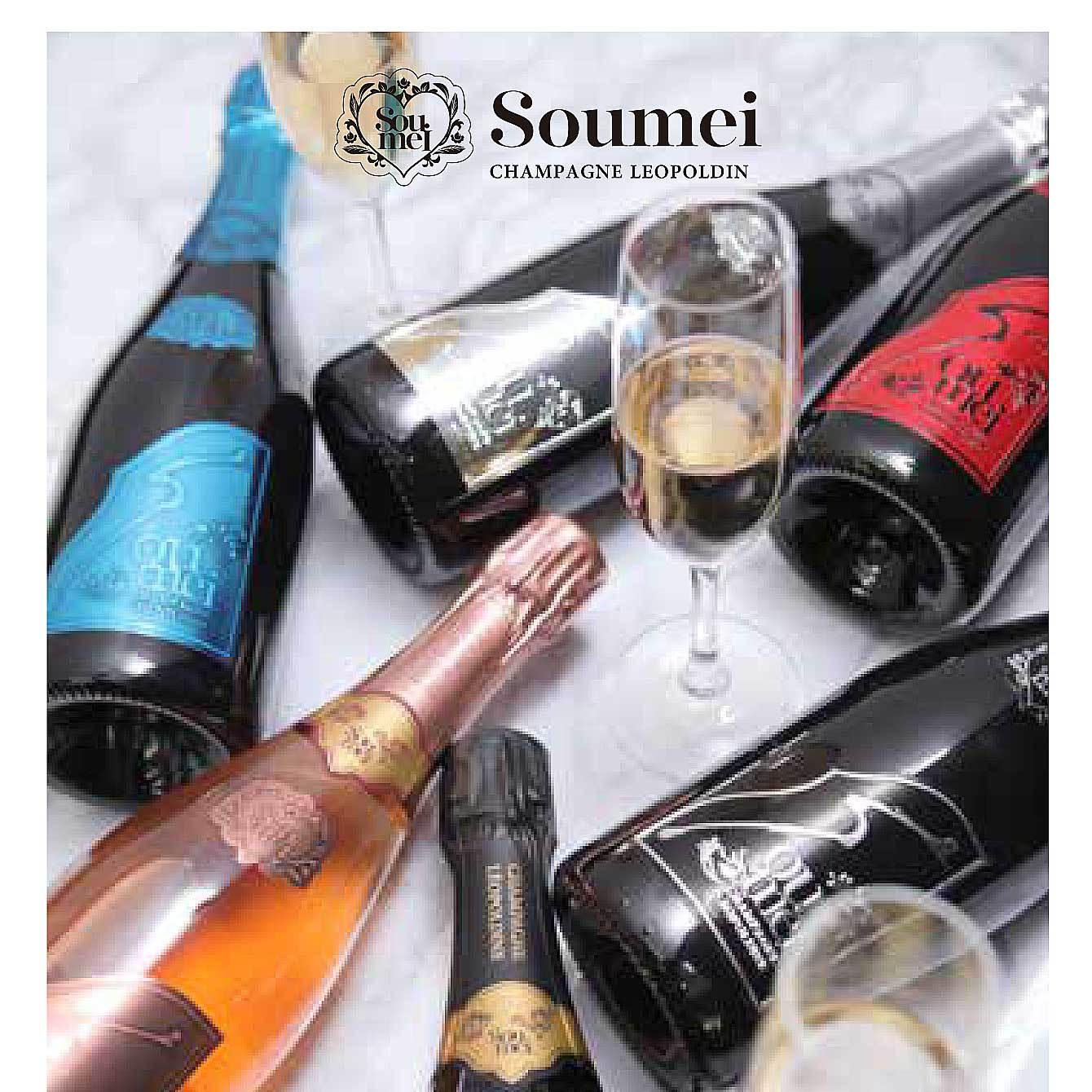 楽天市場】＊楽天ランキング受賞＊ ＜正規品＞ソウメイ アタッシュ6本