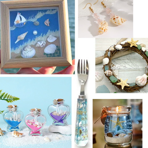 楽天市場】白い巻貝 貝殻 夏 マリン 海 サマー 夏休み 10g Kai-001