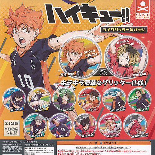 楽天市場】ハイキュー ラメグリッター 缶バッジ 全13種+ディスプレイ