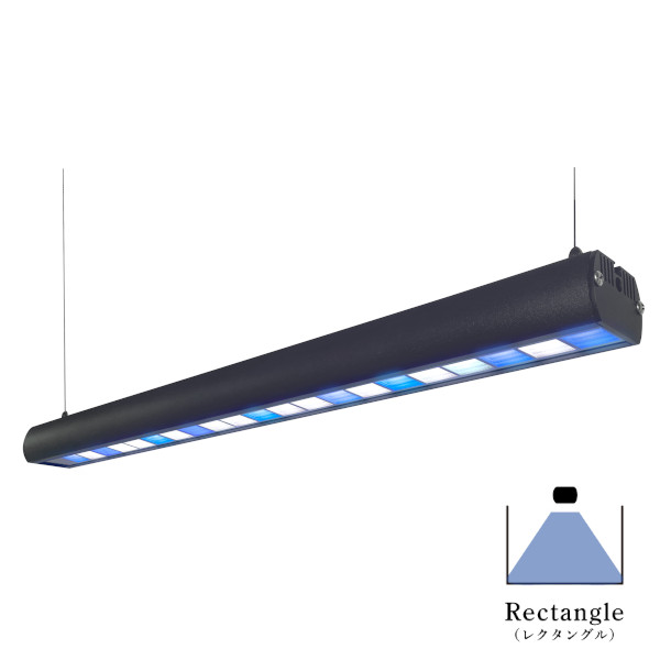 楽天市場】【お取り寄せ品】ZOOX ラグーンシャイナー60 レクタングル