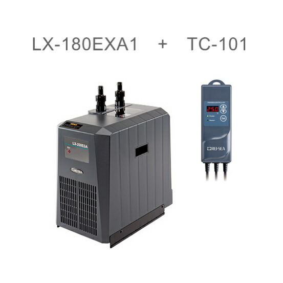 楽天市場】レイシー クーラーの通販