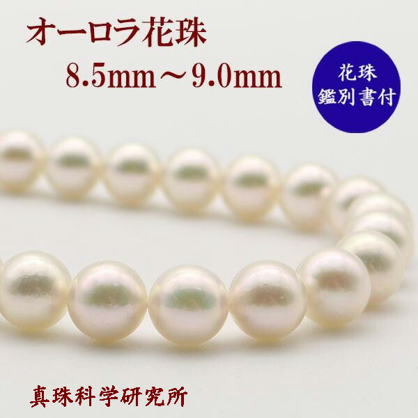 楽天市場】花珠真珠 ネックレス あこや真珠 パール ネックレス