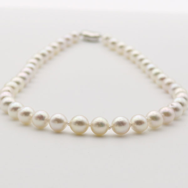楽天市場】真珠 パール ネックレス あこや真珠 パールネックレス