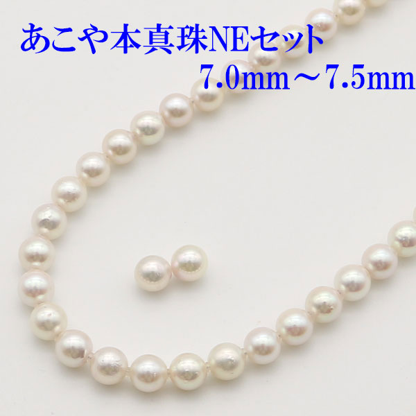 楽天市場】【ショップレヴュー 4.8】 真珠 パール ネックレス あこや