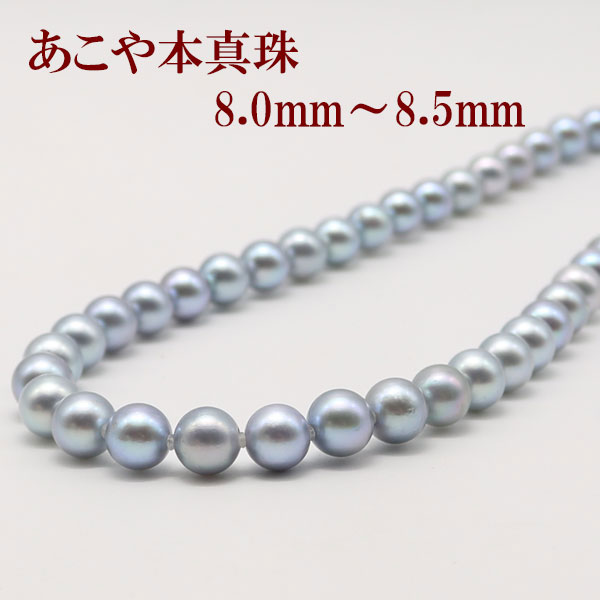 楽天市場】真珠 パール ネックレス あこや真珠 8mm-8.5mm ブルーグレー