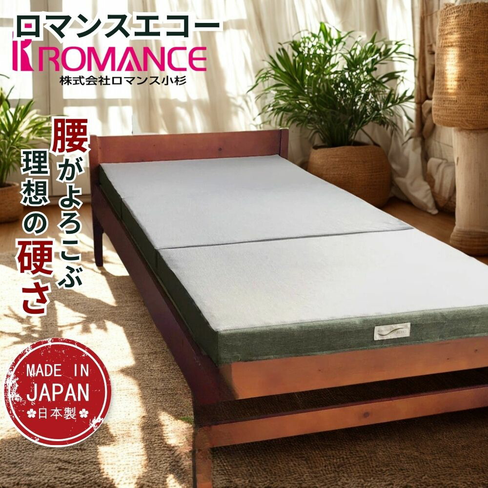 ロマンス小杉 ロマンスエコー シングル (マットレス) 価格比較 - 価格.com