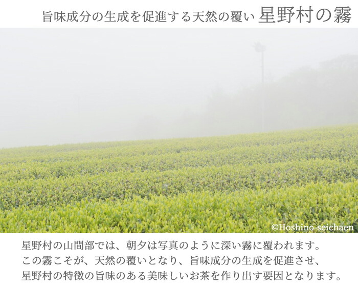 楽天市場】抹茶 星野園 延年之昔 100g缶 裏千家 坐忘斎御家元御好