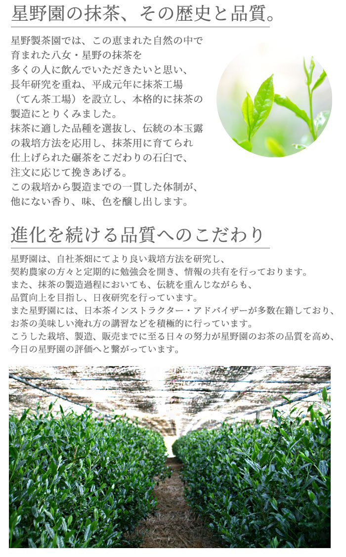 楽天市場】抹茶 星野園 延年之昔 100g缶 裏千家 坐忘斎御家元御好