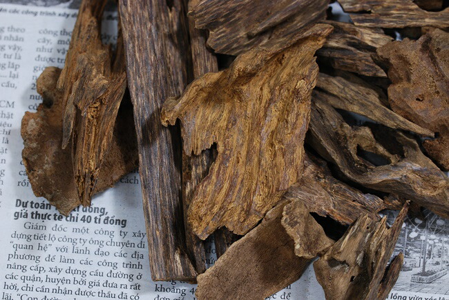 楽天市場】天然沈香【高ランク甘味 10g】量り売り 沈水香木 香木 沈香